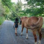 A young person with long brunette hair leads a reddish brown horse along a gravel path.