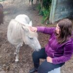 A young person with long brunette hair wearing a purple velvet sweatshirt sits and pets a white miniature horse.