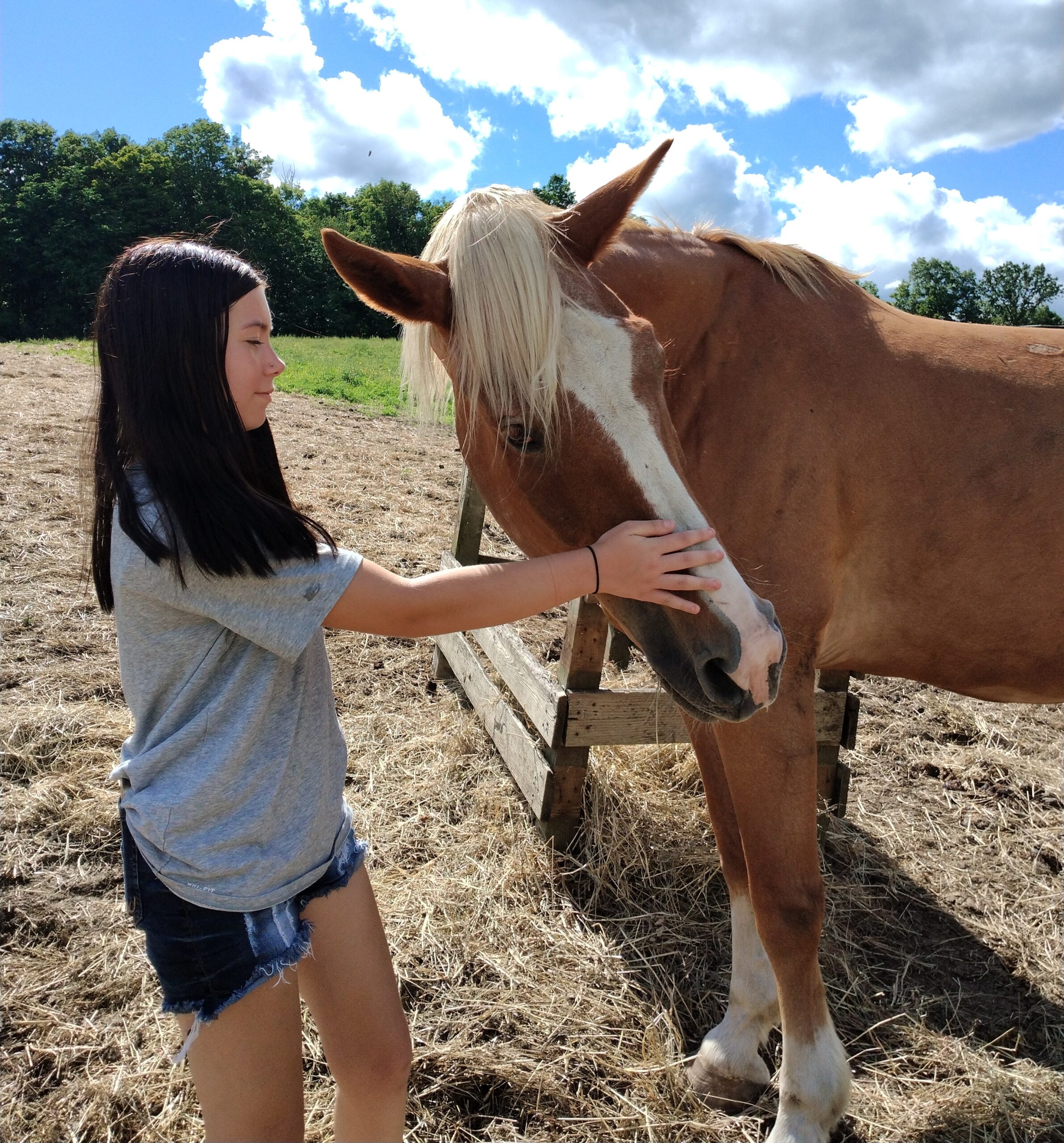 A young person with long dark hair pets a light brown horse with a white pattern on its nose.
