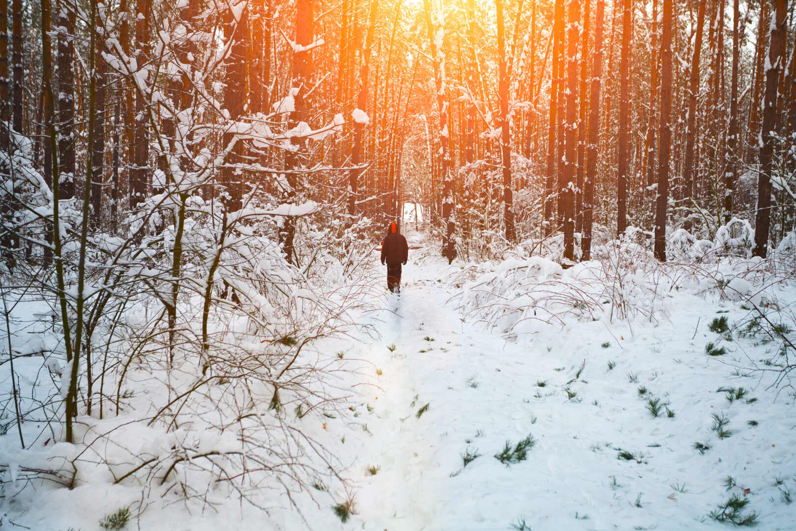 A man walking in a snowy forest.