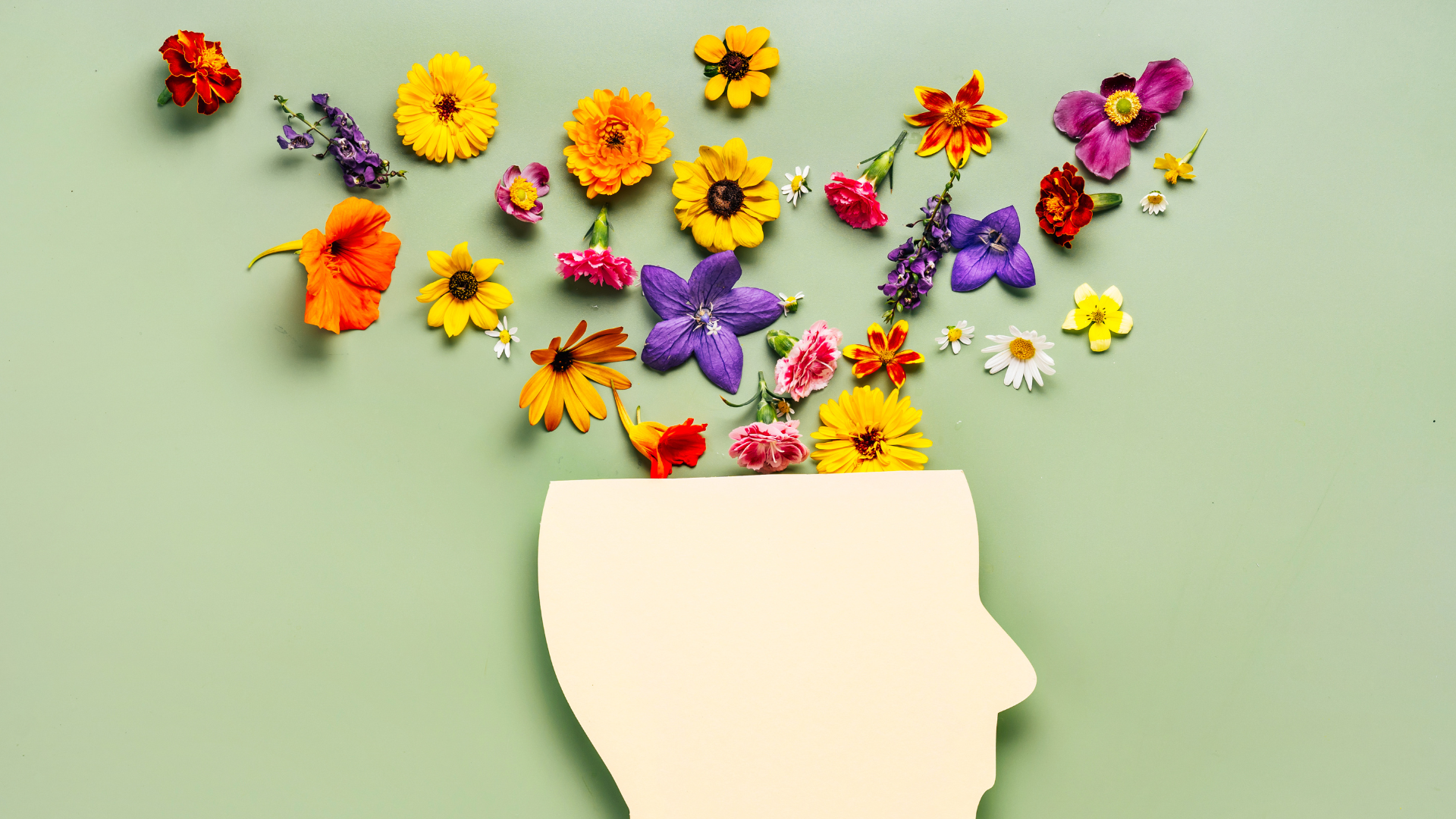 Graphic with a light green background, with a paper cutout image of a head with colorful wildflowers coming out of the top