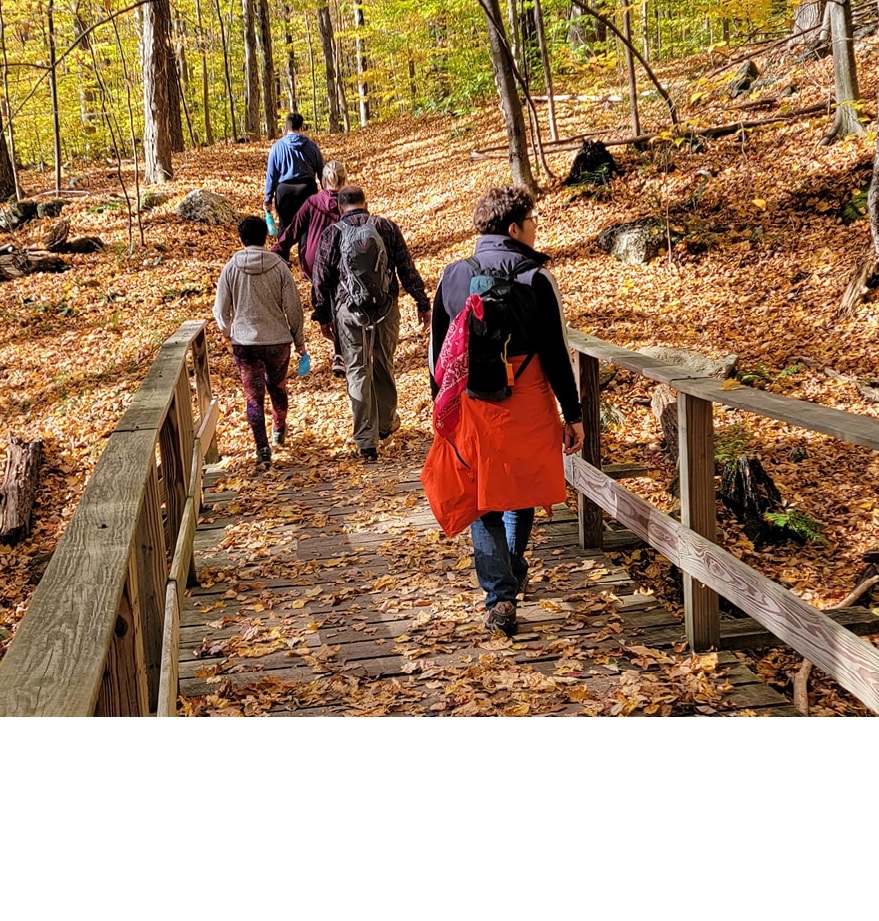 A group of five people in athletic clothing walk across a fall leaf covered bride on a trail with tall skinny trees.