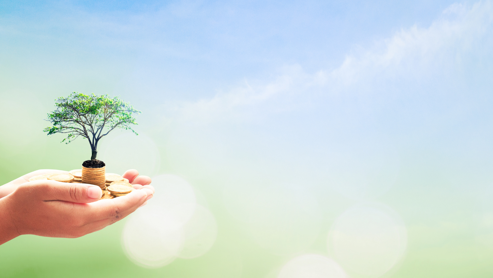 Graphic of hands holding a tiny tree growing out of a stack of gold coins. Background is light blue and green (sky and grass).