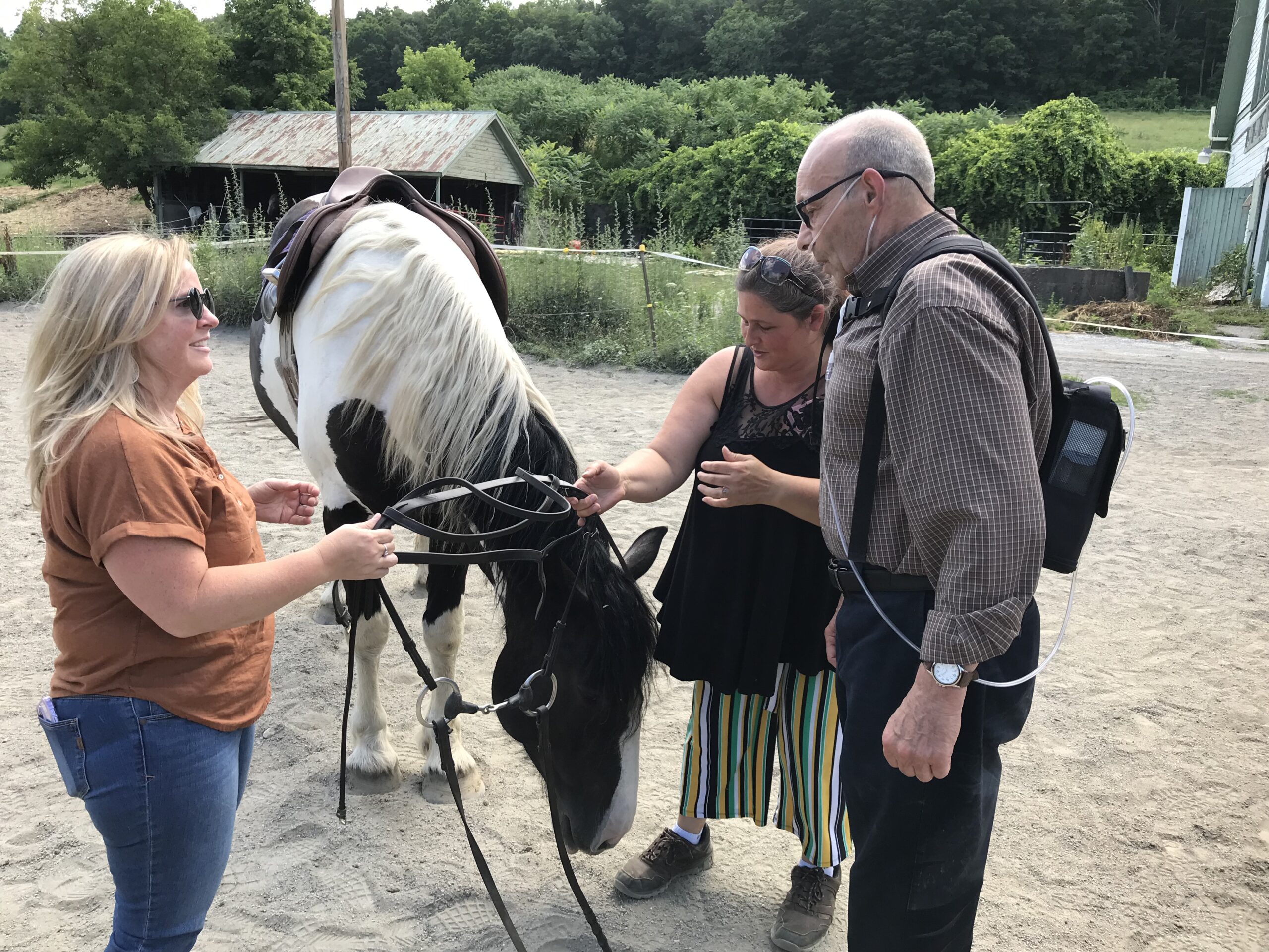 two middle-aged women and a older bald man is standing in front of a horse each holding a bridle