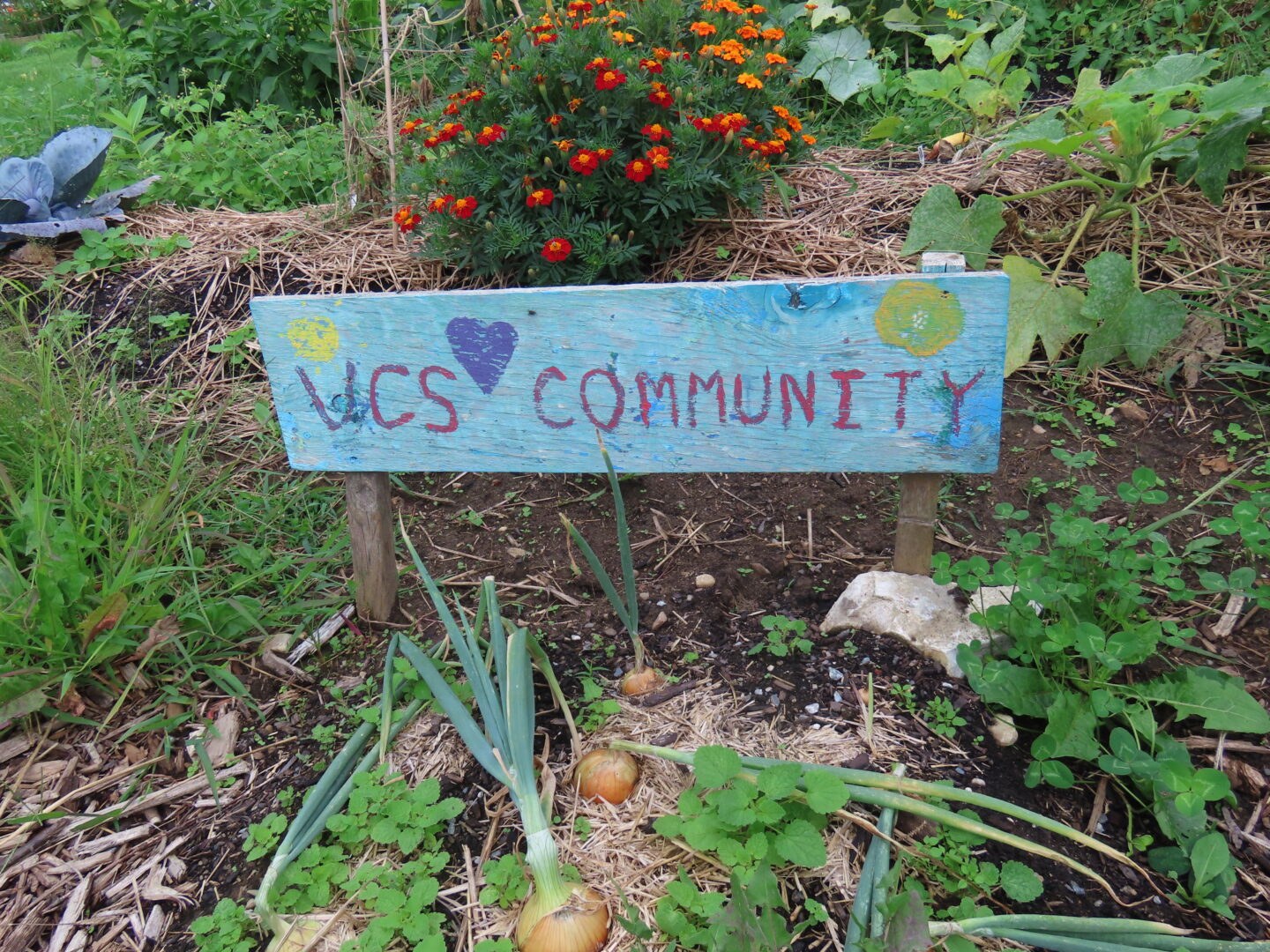 garden with a wooden sign spelling 'UCS Community' with painted hearts around the words
